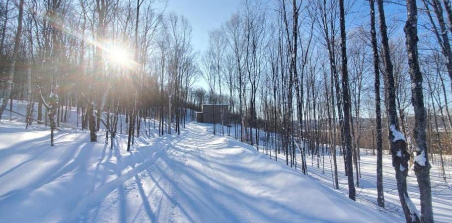 Вілла Chalet Serenity - Mont Tremblant Ski - Spa Sauna Wifi Tv Privet Chic Modern House La Conception Екстер'єр фото
